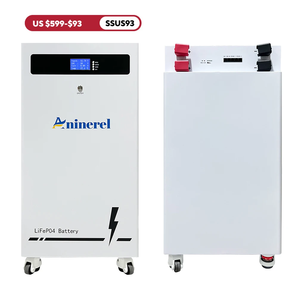 

Aninerel 51.2V 314Ah 16Kwh LiFePO4 Battery Pack High Capacity Energy Storage Bluetooth BMS 200AH RS485/CAN/RS232 for home