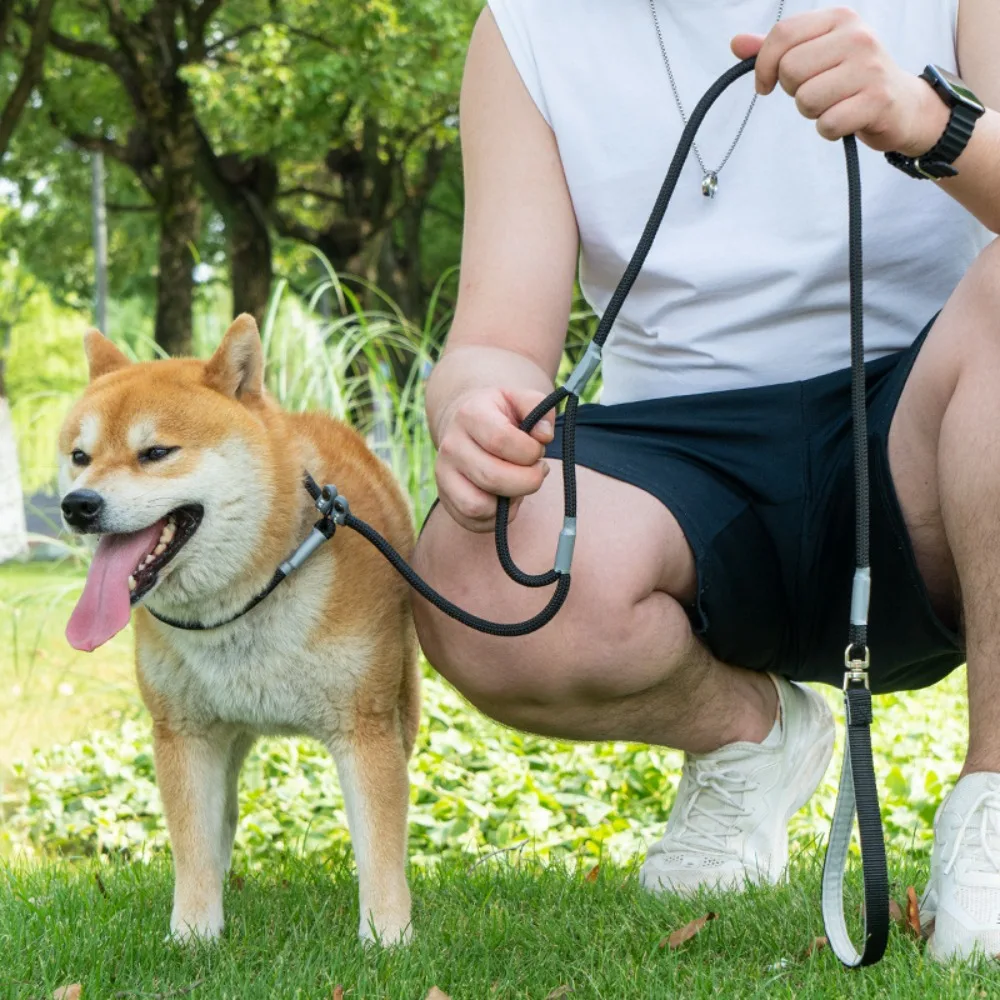 Thumbnail 2 - #24 Top Puppy Leads Picks for Every Budget