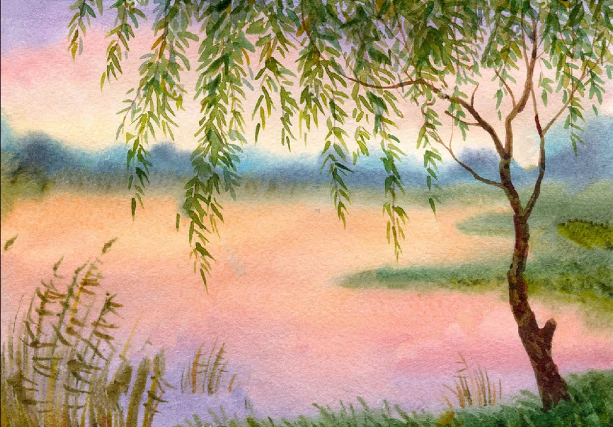 جونسون الصفصاف شجرة الألوان المائية فروع المناظر الطبيعية عازمة بركة خلفية عالية الجودة الكمبيوتر طباعة خلفيات الزفاف