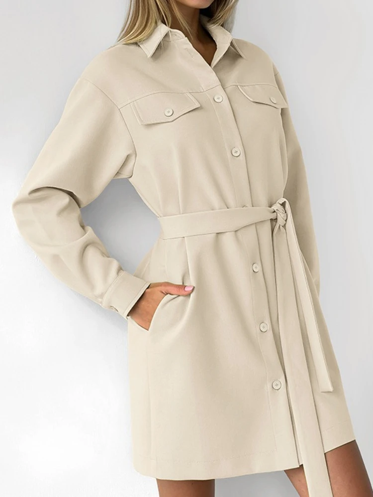 Stijlvolle temperamentjurken Dames Casual revers Lange mouw Single Breasted Lace Up Mini-jurk Dagelijks woon-werkverkeer Vintage slanke jurk