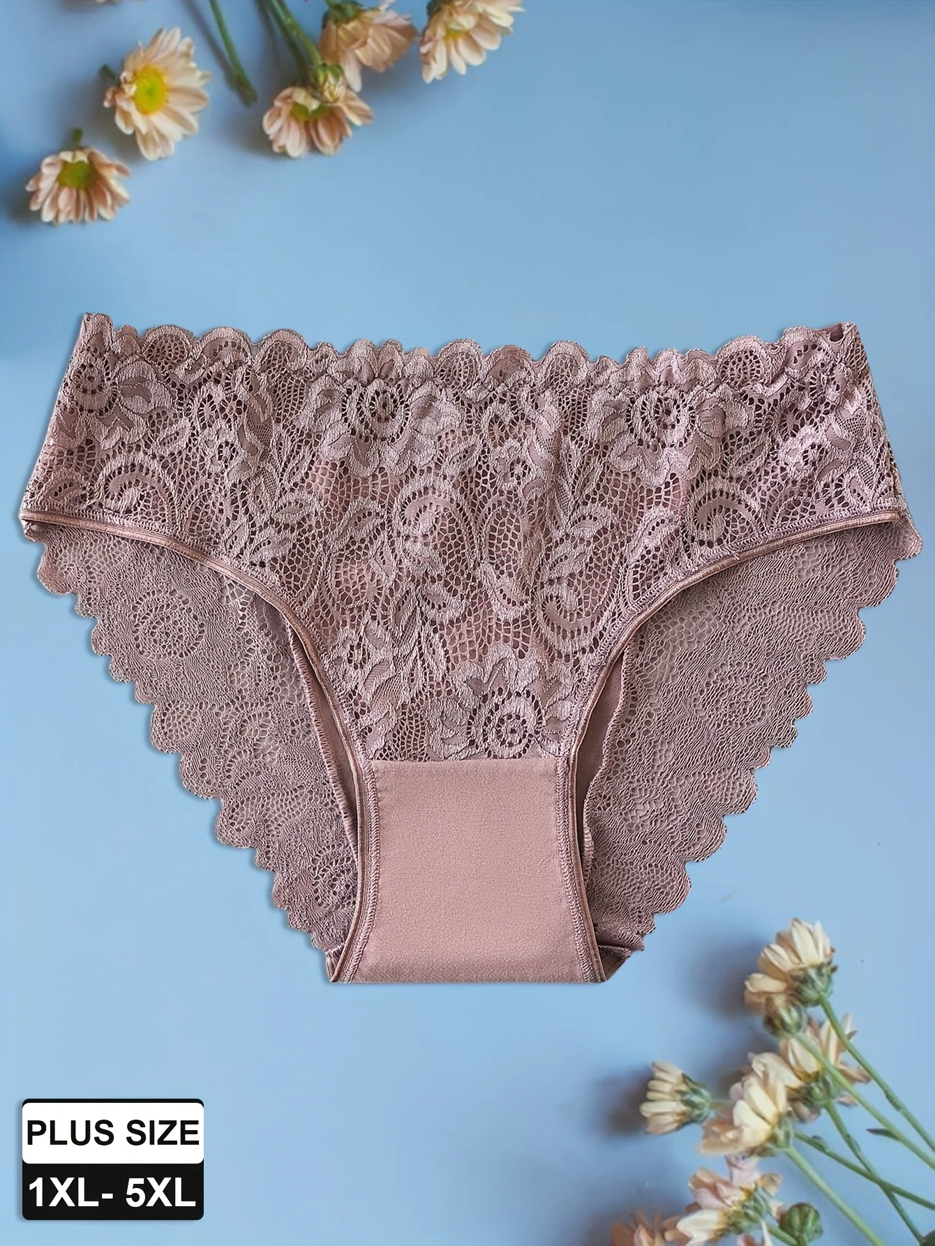 Three‑Pack Women's Plus‑Size Lace‑Panel Panties ‑ Full‑Coverage Briefs, Sizes 1XL‑5XL