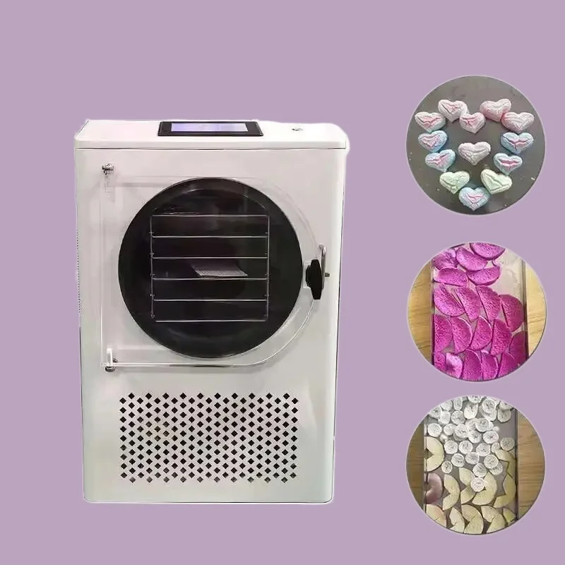 Hot Sale Home Vakuum-Lyophilisator 6–10 kg: ölfreie Pumpe, für Obst/Kaffee, einfache Bedienung