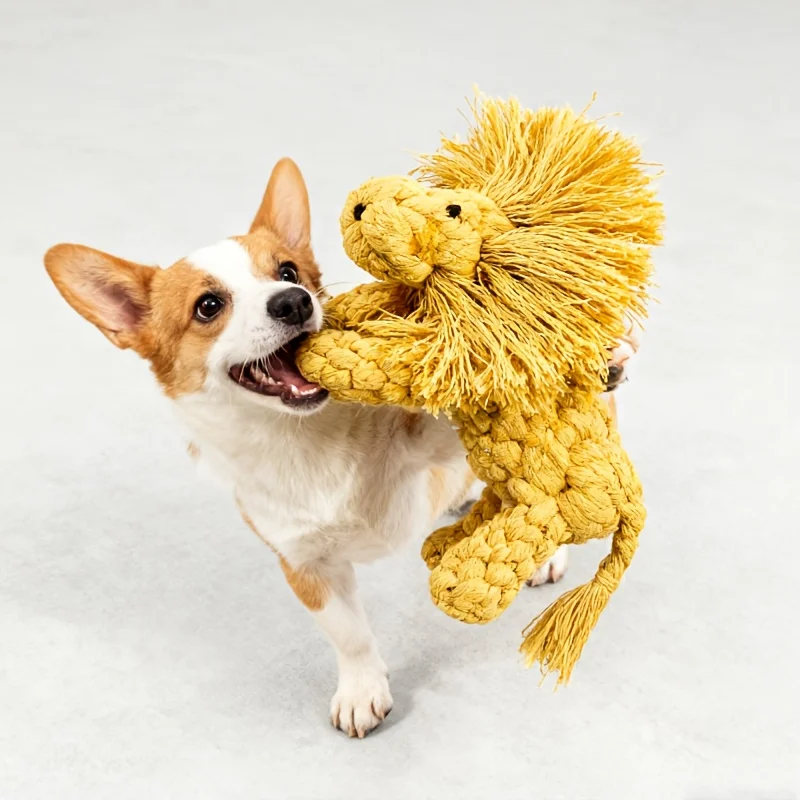 Löwenförmiges Kau-Seilspielzeug für Hunde – Einzelpackung, ungiftig und langlebig, sicher für die Zahnpflege, interaktives Spiel für drinnen und draußen – Detail 6