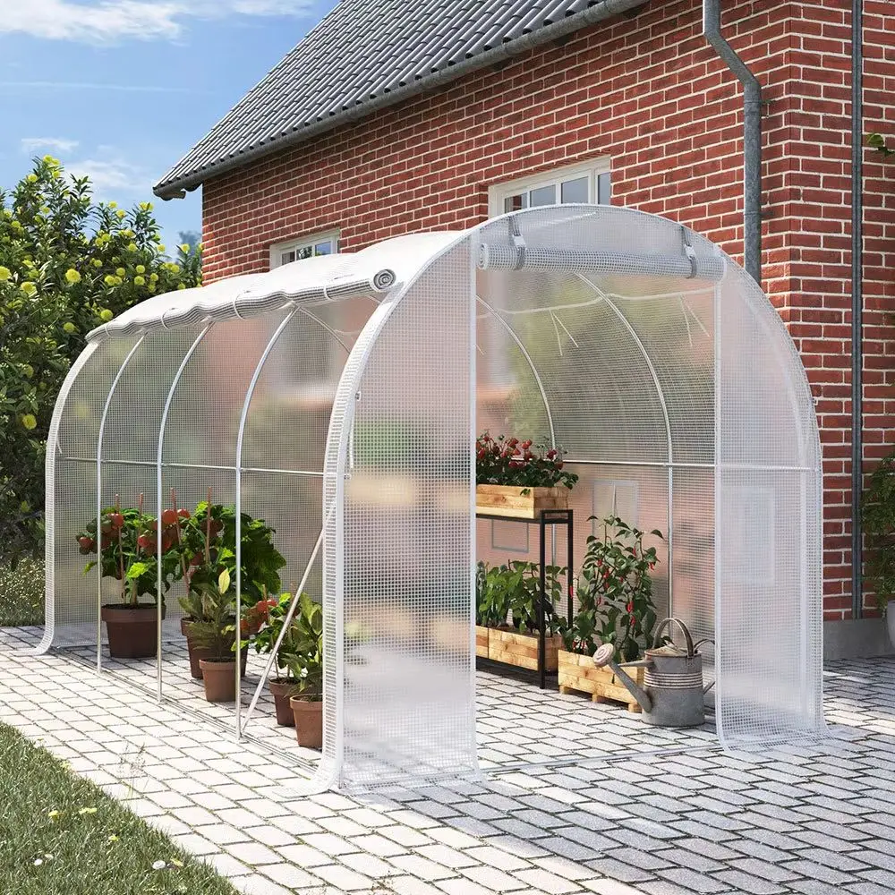 White 4M Outdoor Tunnel Greenhouse with Steel Frame