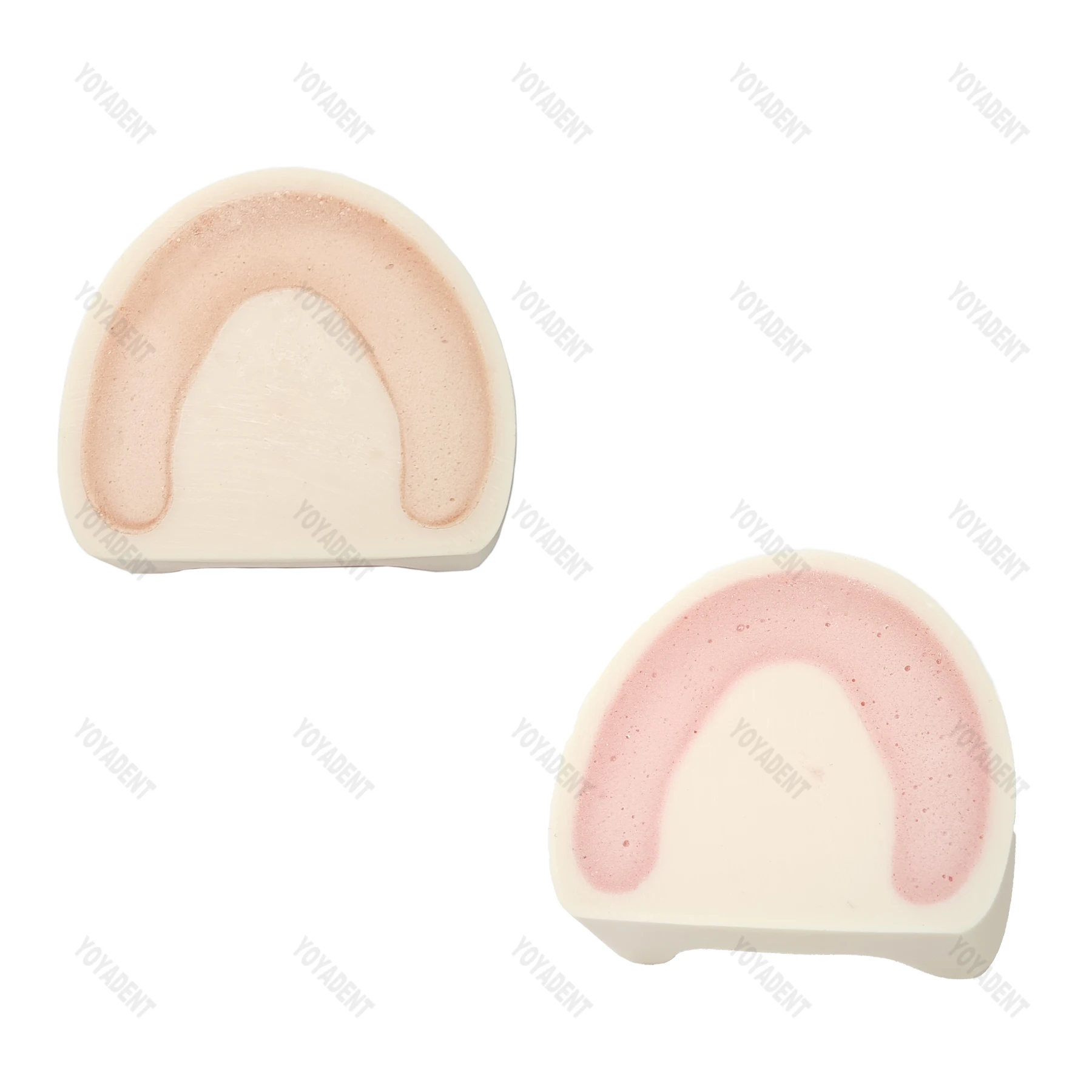 Dental Implant Model Drilling Training Open Suture Model For Patient Education Demo Dentistry Products