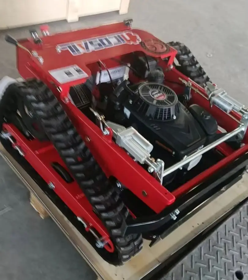 Umweltfreundlicher Kettenrasenmäher, geringer Emissionsgrad, ergonomisch, geeignet zum Begrünen in malerischer Bereichen