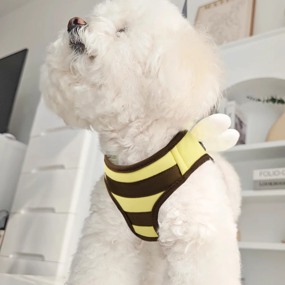 [Popular Chioce] Small Dog Harness and Leash Step in No Chock No Pull Soft Mesh Bee Heart Wing Cute Design With Secure Zinc Allo