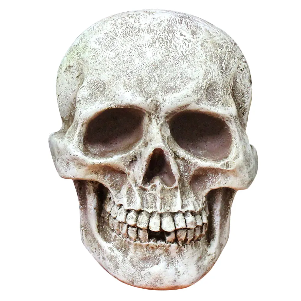 

Resin Skull Decor Halloween Statue Figurines Home Decoration Cool Sculptures Realistic Design Durability Lifelike Mystery Charm