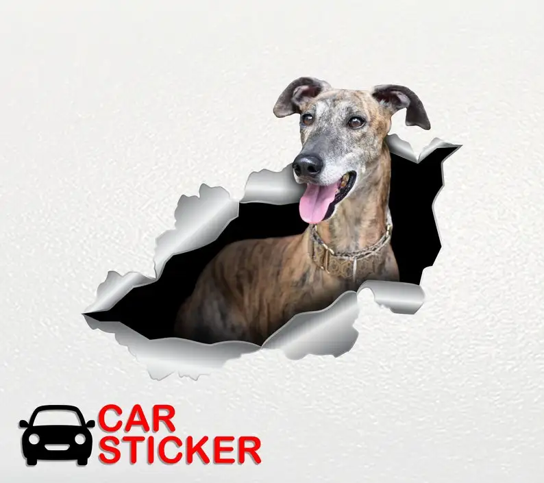 Brindle Whippet sticker Brindle Whippet car decal Whippet car decal Pet decal Dog stickers 3d sticker Funny decals Gift Brindle