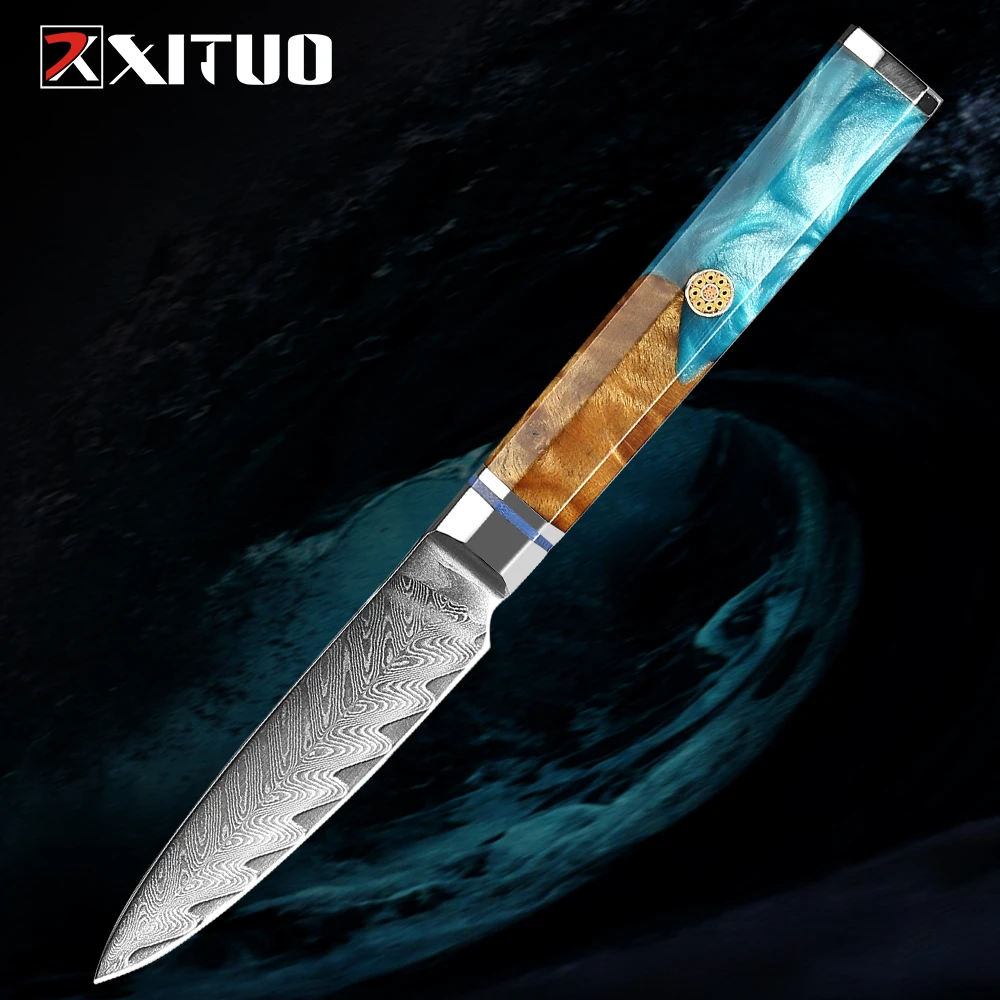 

Paring Knife 3.5 inch Fruit Knife, Small Kitchen Knives, VG10 Damascus Super Steel 67-Layers, Full Tang Wood&Resin Handle