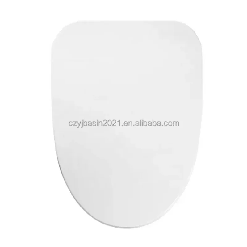 Adjustable Temperature Heated Smart Toilet Seat Cover with Bidet 220V