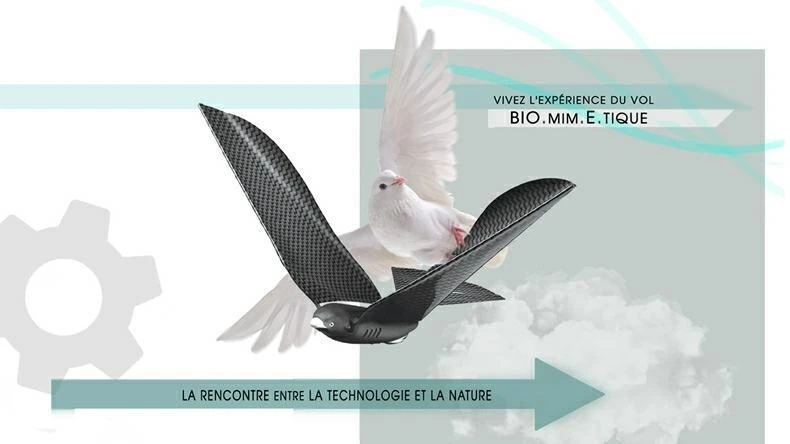 French Metabird Bionic Bird Remote Control Air Vehicle Bionic Bird Cell Phone Remote Control Aircraft Drone Air Vehicle Gift Toy