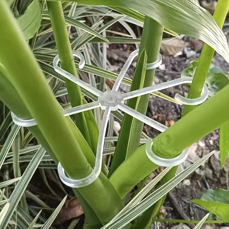 4 مشابك بلاستيكية لدعم النباتات، إطار تسلق الكرمة الخضراء الشفافة، مشابك جذعية نباتية قابلة للتعديل للتثبيت والنمو المستقيم #2