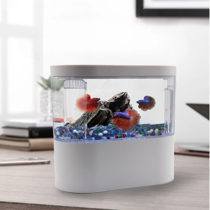 Desktop Creative Mini Aquarium Fish Tank with Biochemical Filtration System and LED Light Betta Fish Ecological Water Cycle