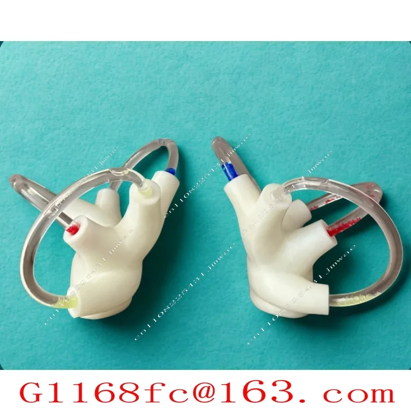 Cochlear Model Semicircular Canal Model Semicircular  Otolith Reduction  Inner Ear