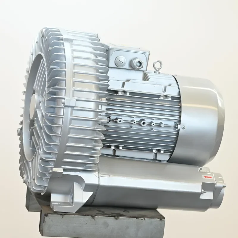 Flowrate 318m3/h Low Noise Ring Blower Copper Motor Regenerative Blower Suck and Blow Machine