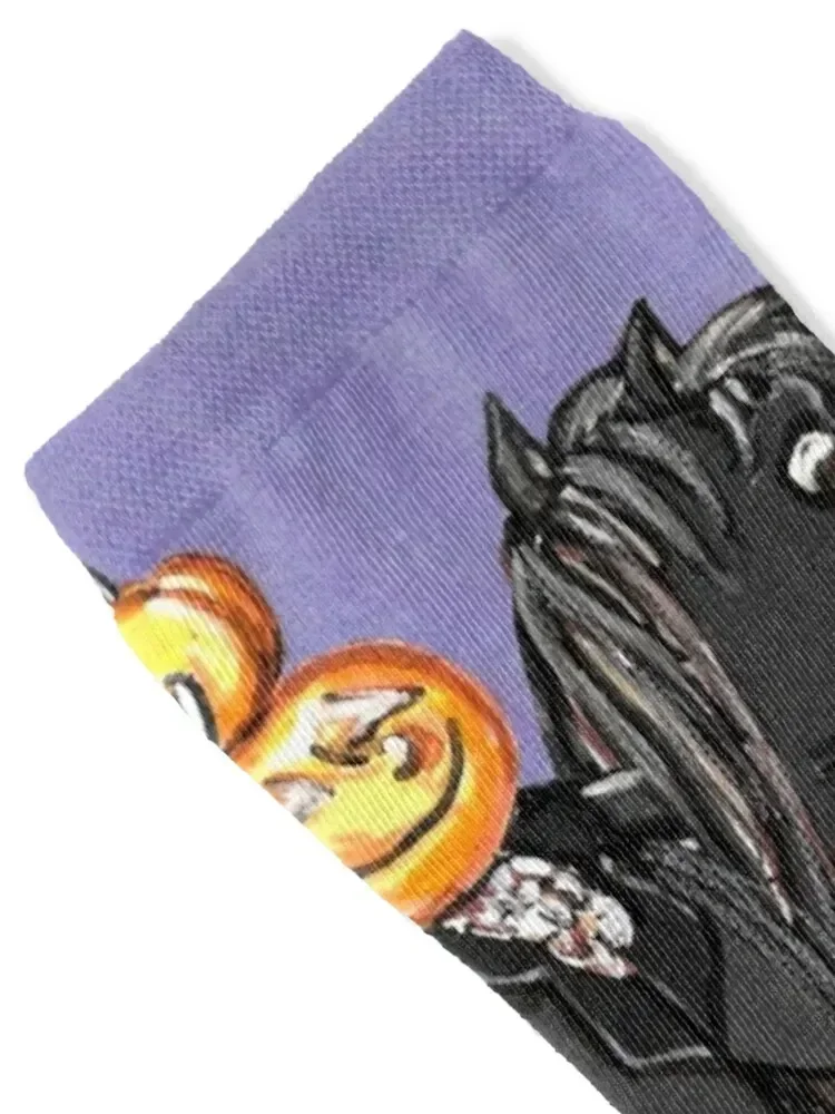 Headless Horseman Ichabod Crane Sleepy Hollow Exchanging Pumpkin Socks christmas gift with print Socks For Men Women's