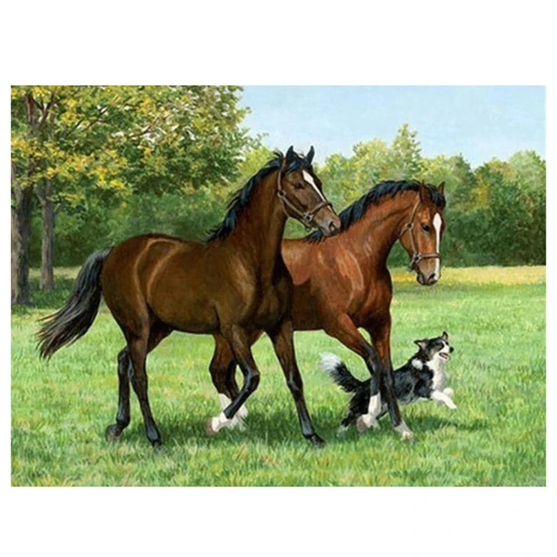 

DIY Round Diamond Diamond Painting, Diamond Painting Exquisite Set, Two Horse Diamond Painting