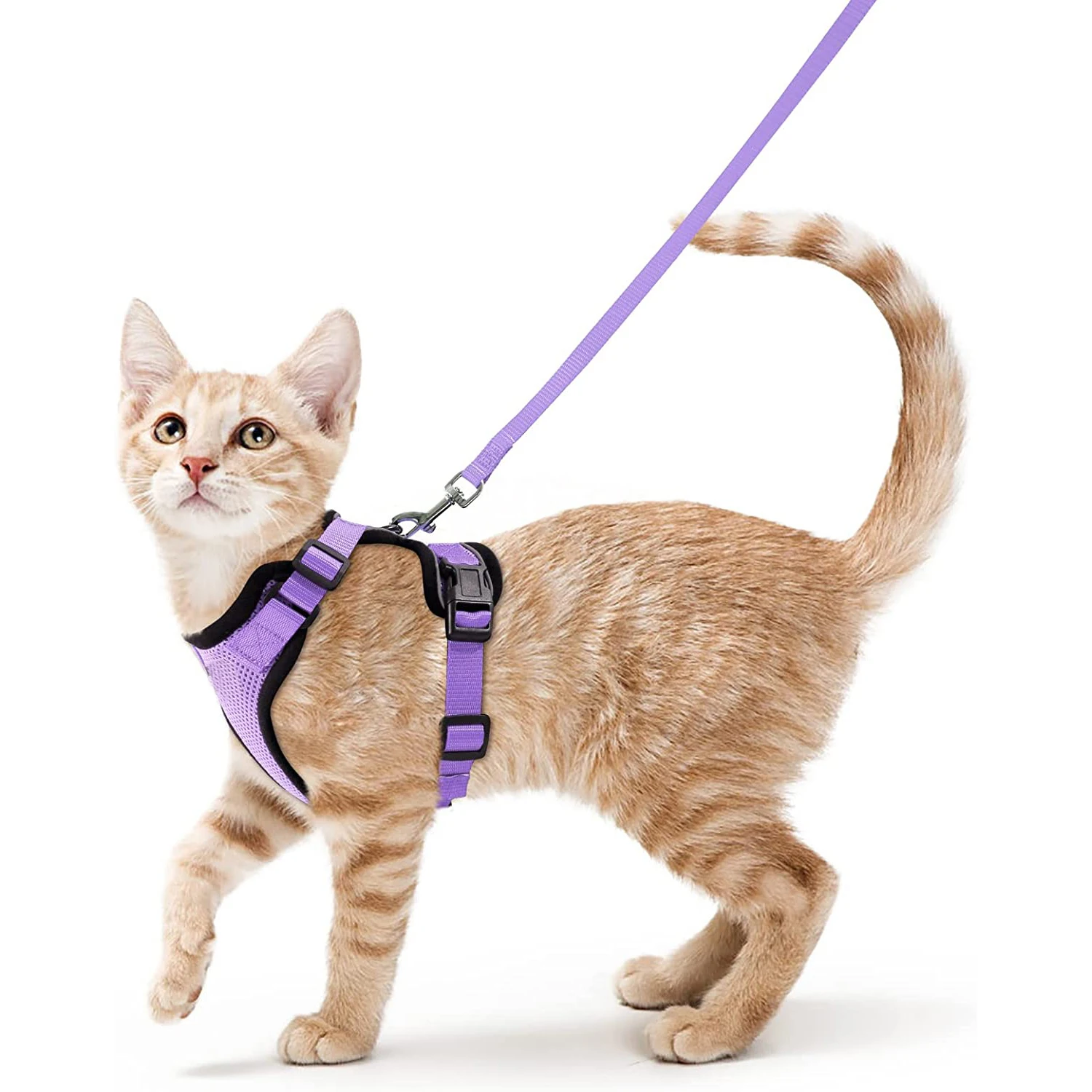 Katzengeschirr und Leine zum Spazierengehen, auslaufsichere, weiche, verstellbare Weste, Geschirre für Katzen, EasyControl