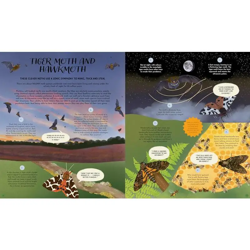 اللغات البرية من طبيعة الأم 48 قصة عن كيف تتواصل الطبيعة 48 قصة عن كيف تتواصل الطبيعة 9780711288478