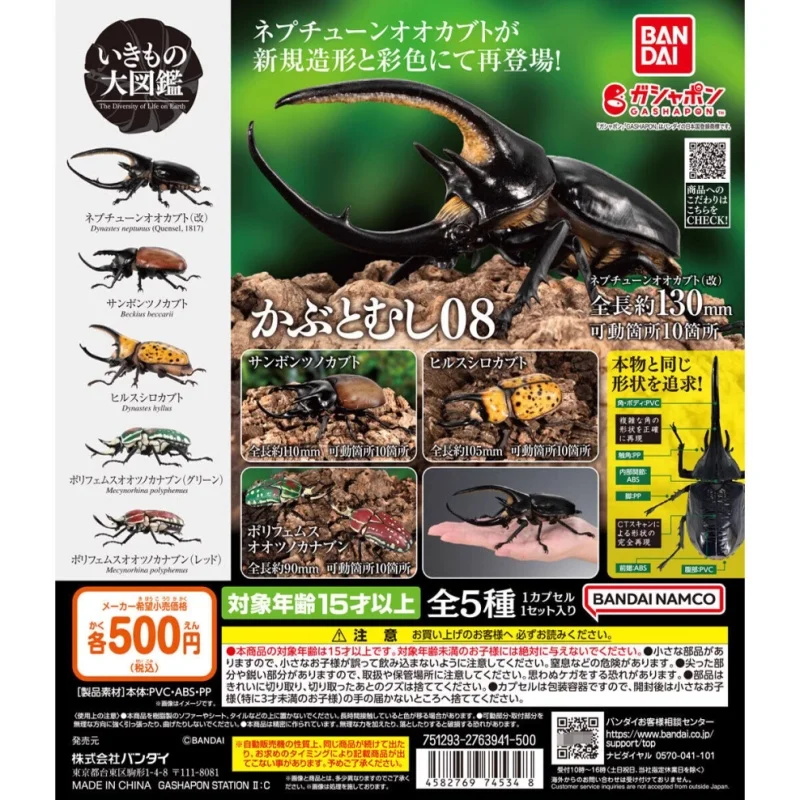 

Bandai Original 5Pcs Gashapon かぶとむし08 Toys For Kids Gift Collectible Model Ornaments