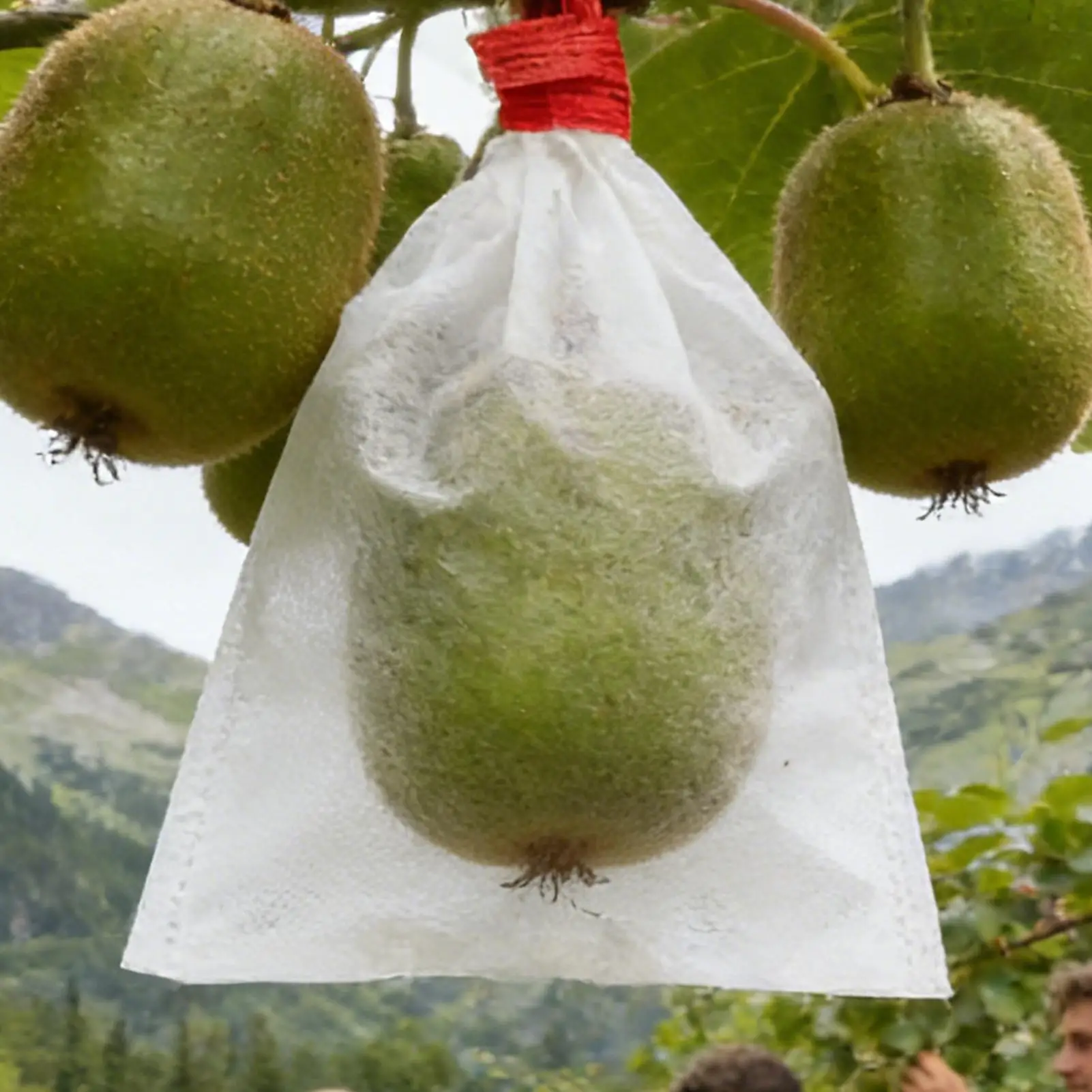 100Pcs Garden Fruit Protection Bags Non-woven Fabric Grape Protection Bags Anti-bird Insect Barrier Pouch For Apples Vegetable