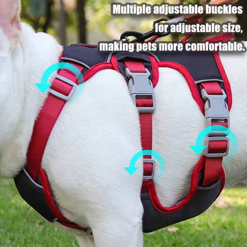 Çekişsiz Köpek Tasması Açık Ha - D Ring Strap incelemesi ve fiyatı