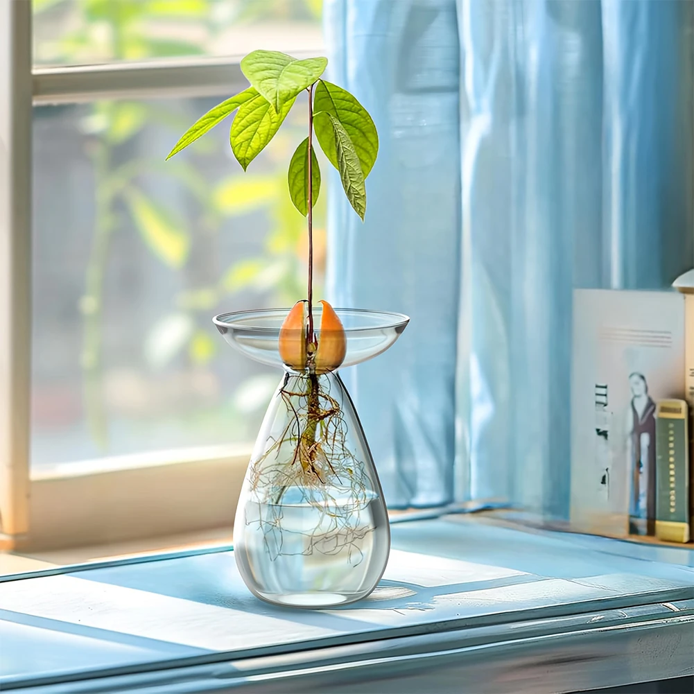Pflanzenvermehrungsstation, transparentes Glas, Avocado-Baum, Blumenvase, Glaspflanzer, Gartenliebhaber, Heimdekoration