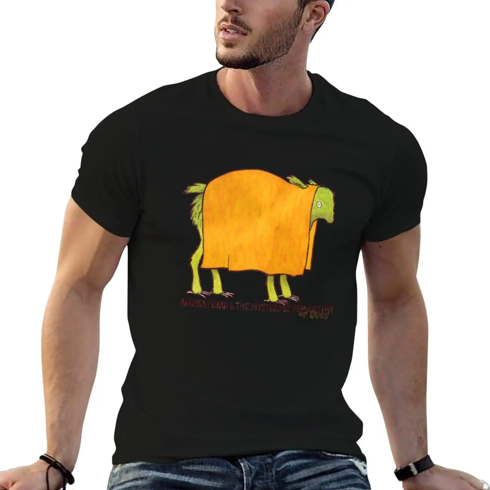 Andrew Bird & The Mysterious Production Of Eggs T-Shirt Stain Resistant Casual Tee