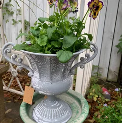 Vintage Rustic Gray Small Metal Trophy Flower Pot