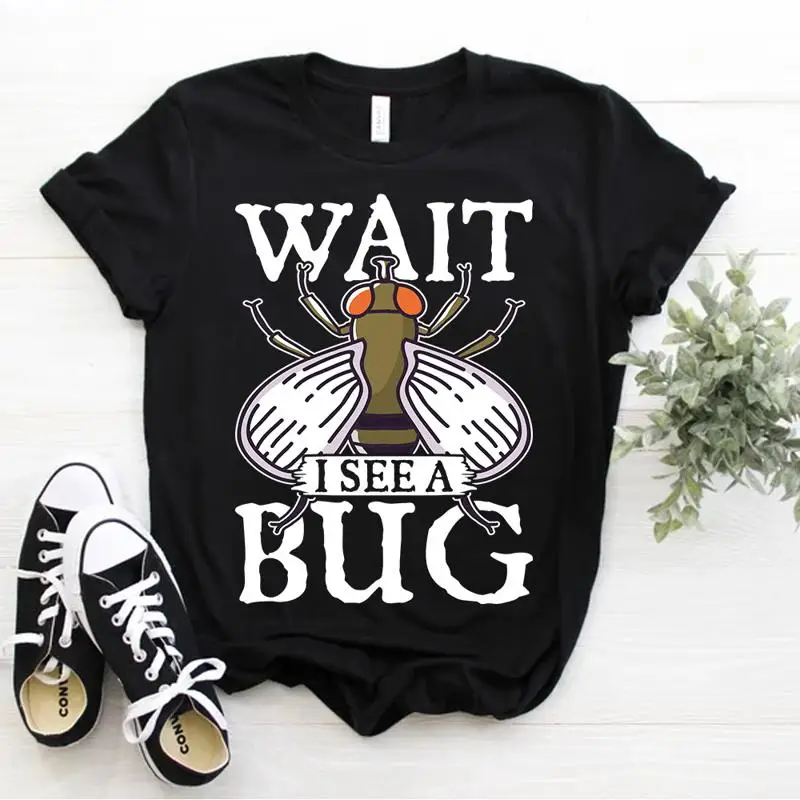 Bug Insect Entomolo…