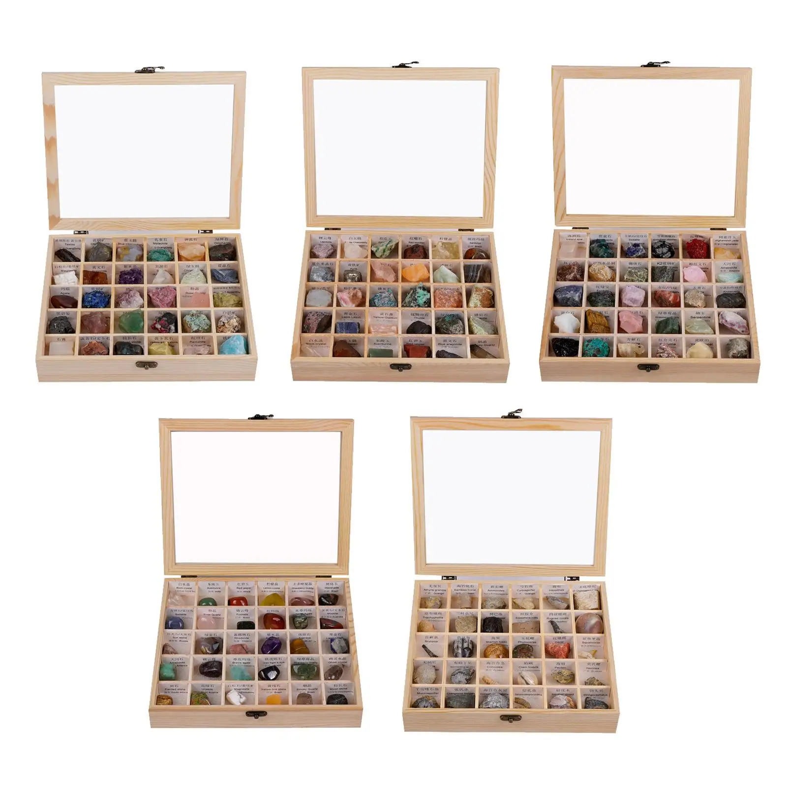 30x Rock Mineral Collection Set w/ Display Case with Educational Information