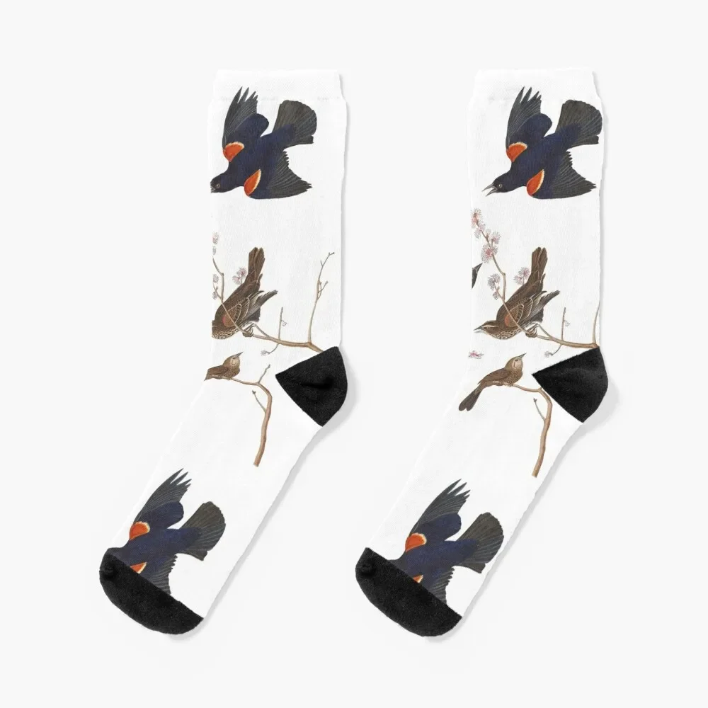 

Red-winged Blackbird / Vintage birds prints and patterns Socks sheer Christmas Running Women Socks Men's