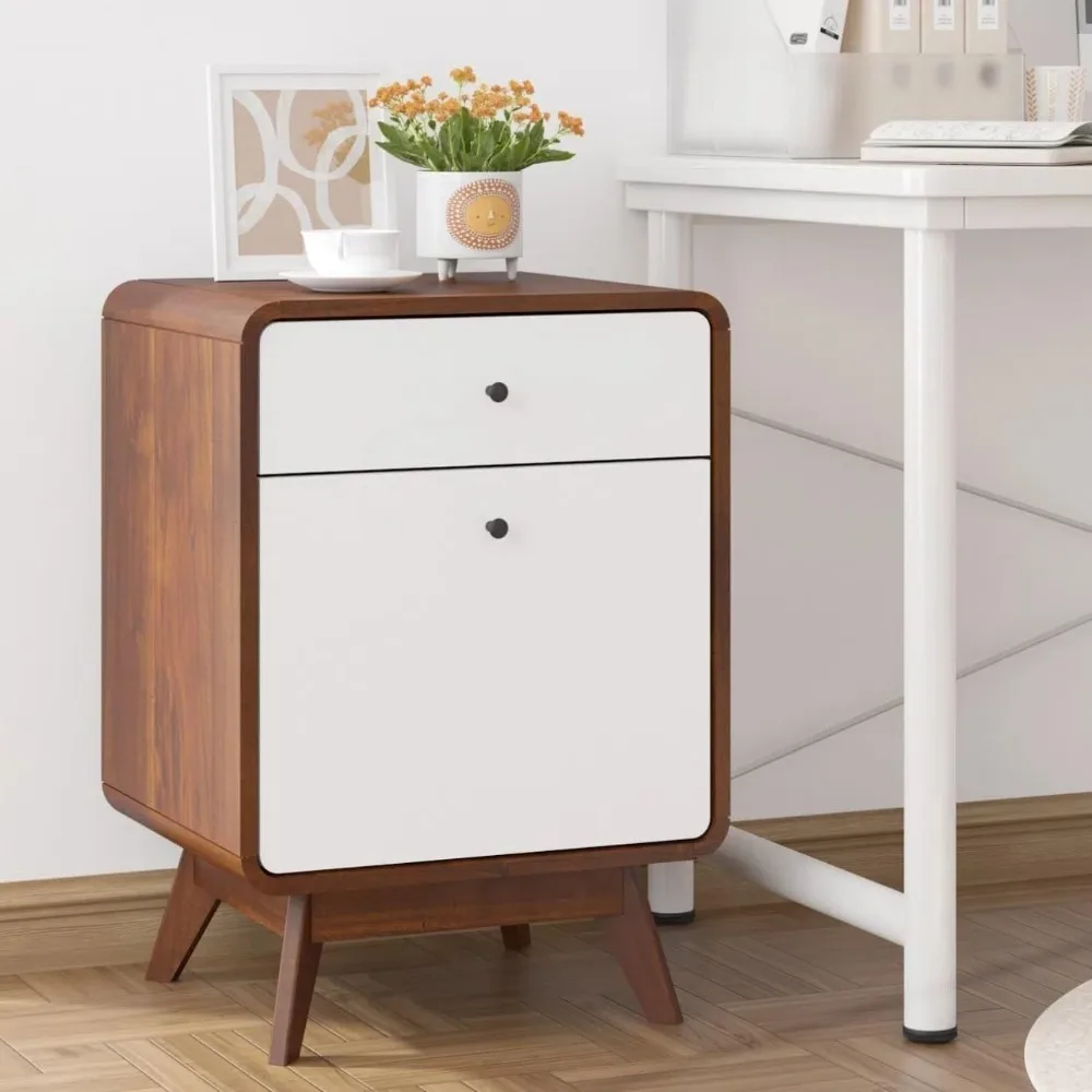 

File Cabinet,Office Filing Cabinet Organizer with 2 Drawers,Wood Large Drawer Storage for Home Office