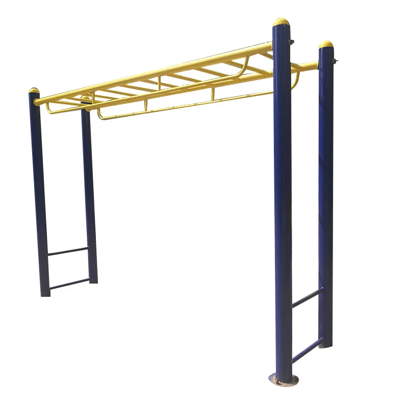 

Sports fitness path ladder
