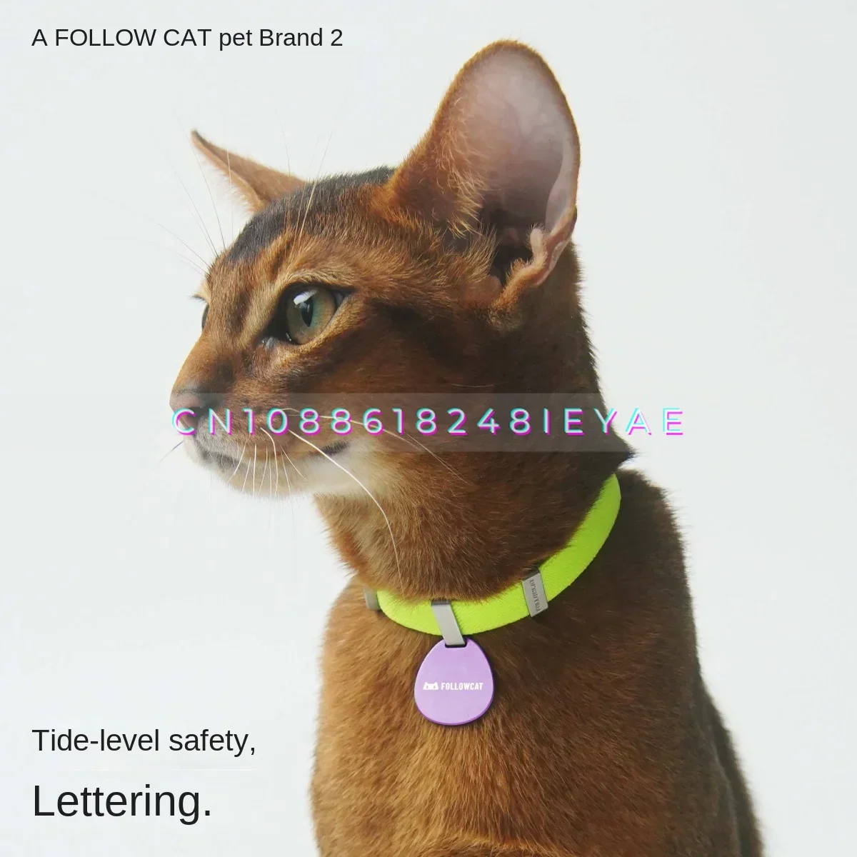 Customization Dog Tag Laser Engraving Pet Tag Dogs Accessories Cat Collar Accessories 2pcs  Puppy Accessories  Lacos Para Pet