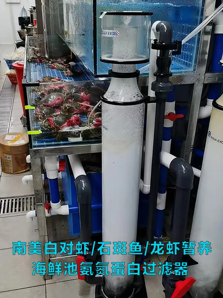 shrimp aquaculture, nitrogen removal device, seawater seedling cultivation, marine aquarium engineering protein separator