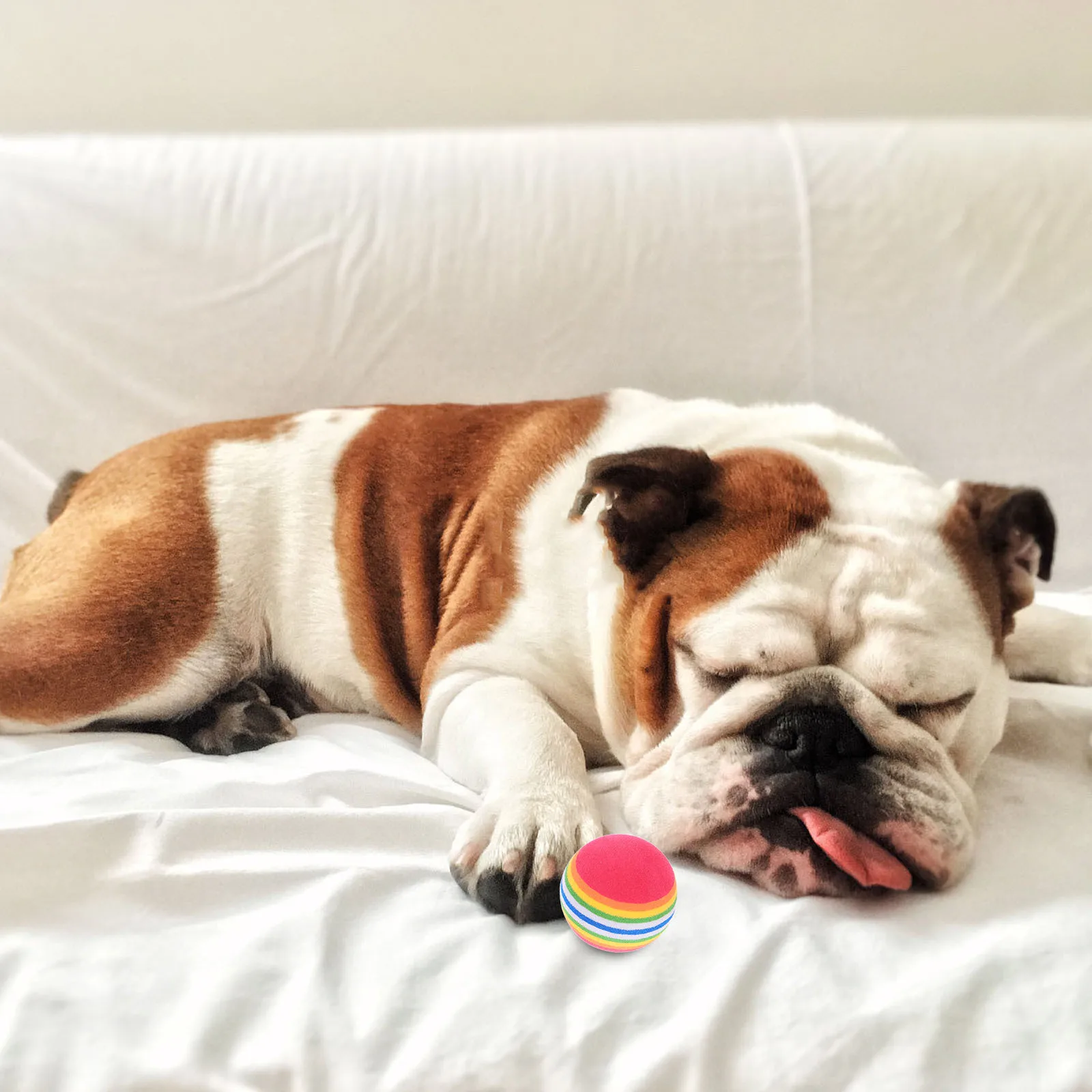 

10Pcs Eva Floating Rainbow Ball Pet Interactive Chew Training Durable Lightweight High Visibility Outdoor Fun Kitten Teething