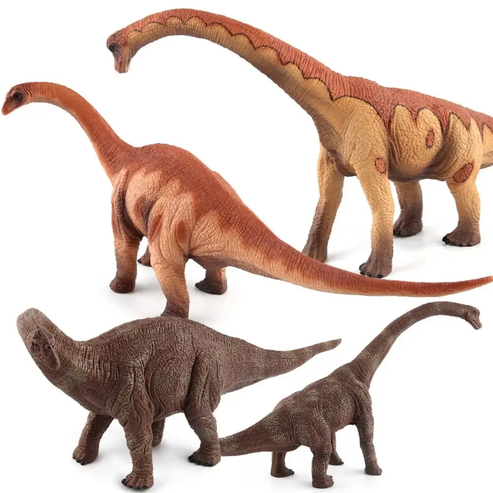 

Herbivorous Dinosaur Model Apatosaurus Realistic Dinosaur Action Figures Simulated Home Decor Jurassic Dinosaur Collection