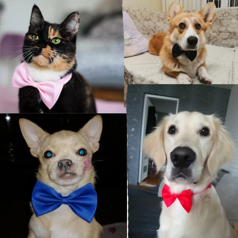 Dog Bow Ties 50pcs Mix Color Solid Small Dogs Cat Bow Tie Neckties Bulk Pet Bowtie Ties for Dogs Puppy Grooming Pet Accessories