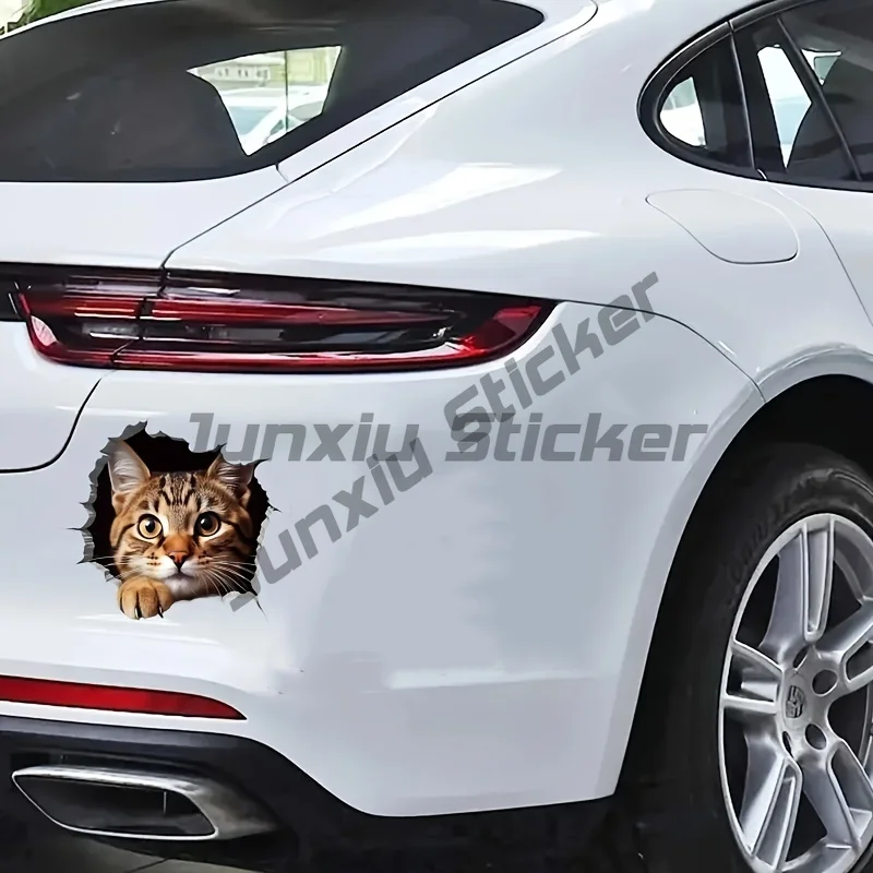 

Забавная наклейка с котом для мотоцикла, водонепроницаемая, для топливного бака мотоцикла, электроскутера, для маскировки царапин на кузове, виниловые наклейки