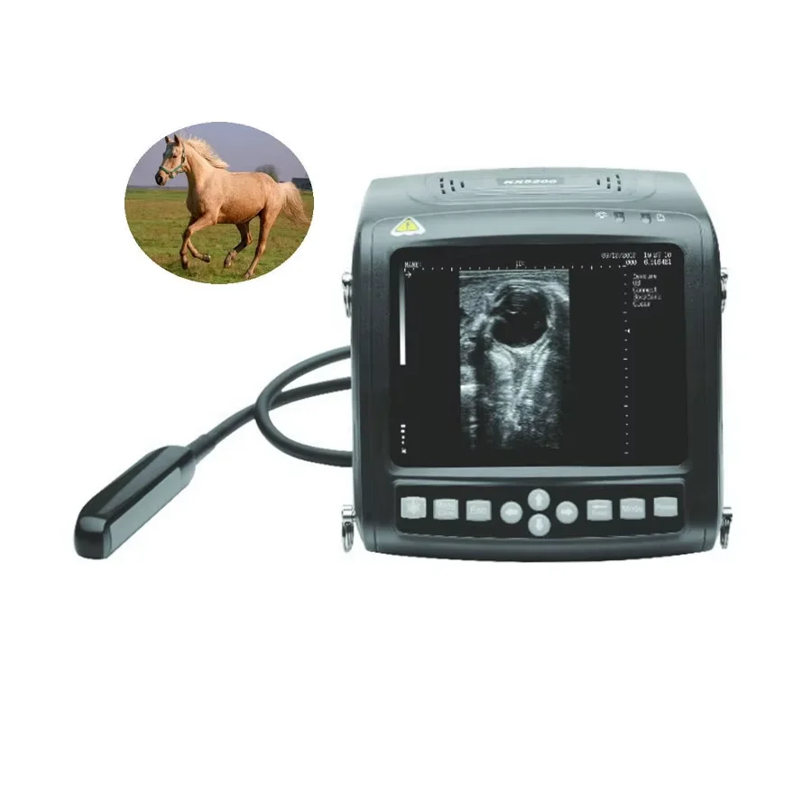 Kaixin KX-5200V Veterinary Medical Equipment for Big Animal Image Scanning Ultrasound Machine for Bovine Equine Ovine Canine
