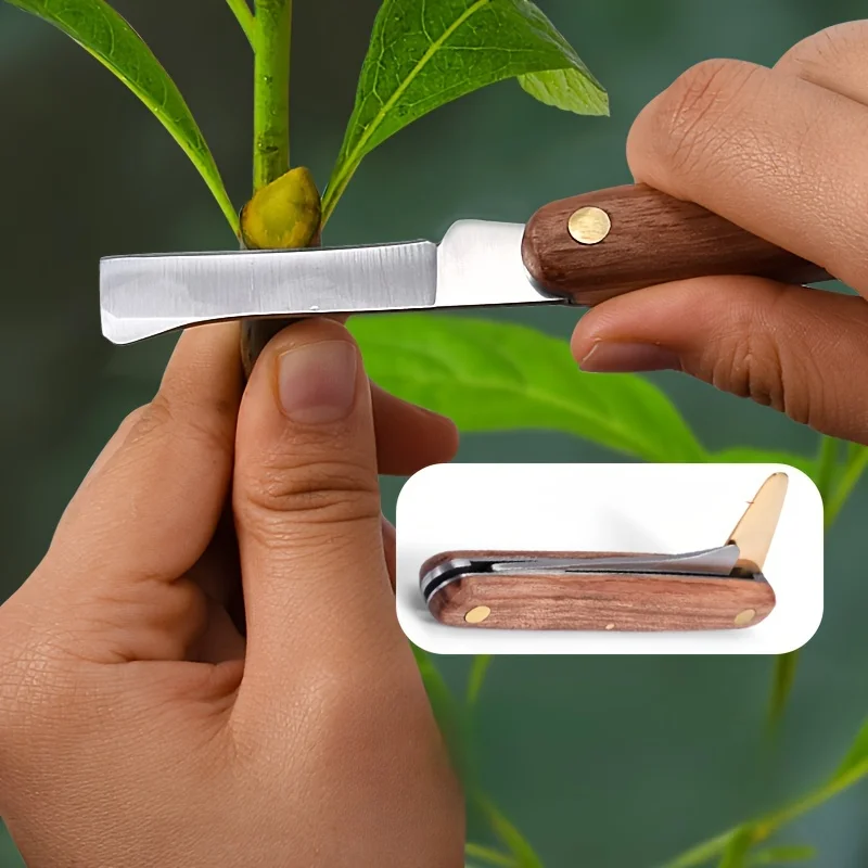 

Wooden handle single opening folding grafting knife Garden grafting fruit tree bud grafting knife Grafting knife