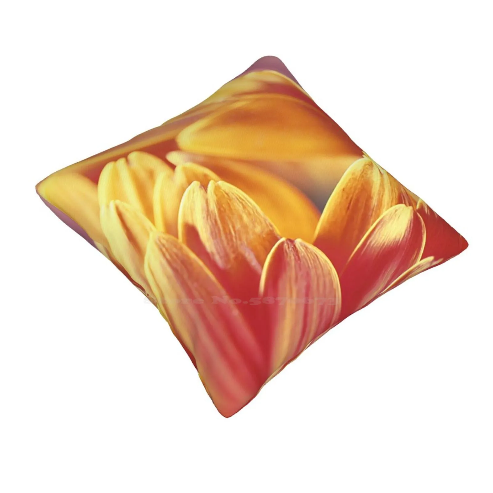 Gently Burning Pillowslip Pillowcase Tangerine Tane Tones Gerberas Reflections Flowers Petal Peatals Orange Colours Mirrors