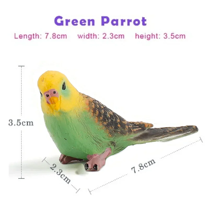 Simulation Forest Parrot Statue Miniature Animal Model Bird Statue Elf PVC Plastic Craft Decoration Zoo Statue Toy