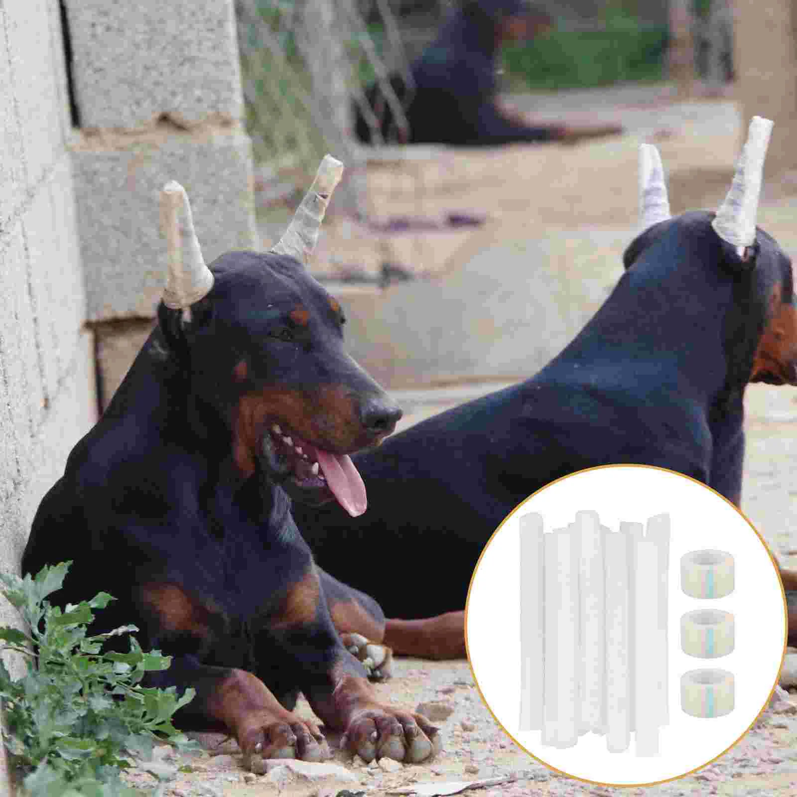 10 Pcs Stick Doberman Pinscher Ear Erecting Pupa Dog Stand Fixed Support Adhesive Tape Puppy Accessory Standing