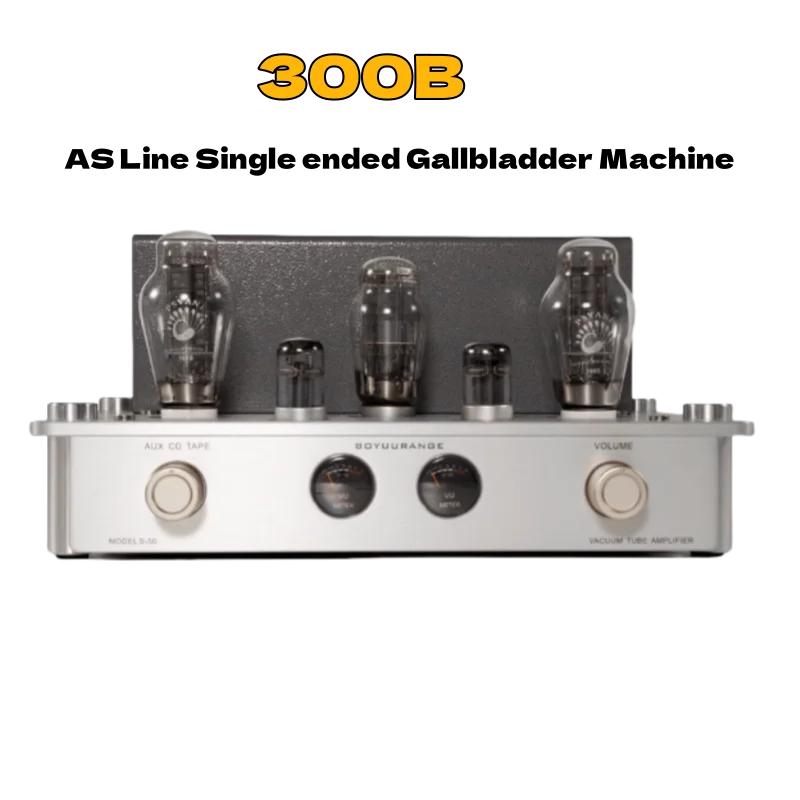 New BOYUU 300B S50 Electronic Tube Amplifier 300B Single End Fever Pure Gallbladder Machine HIFI