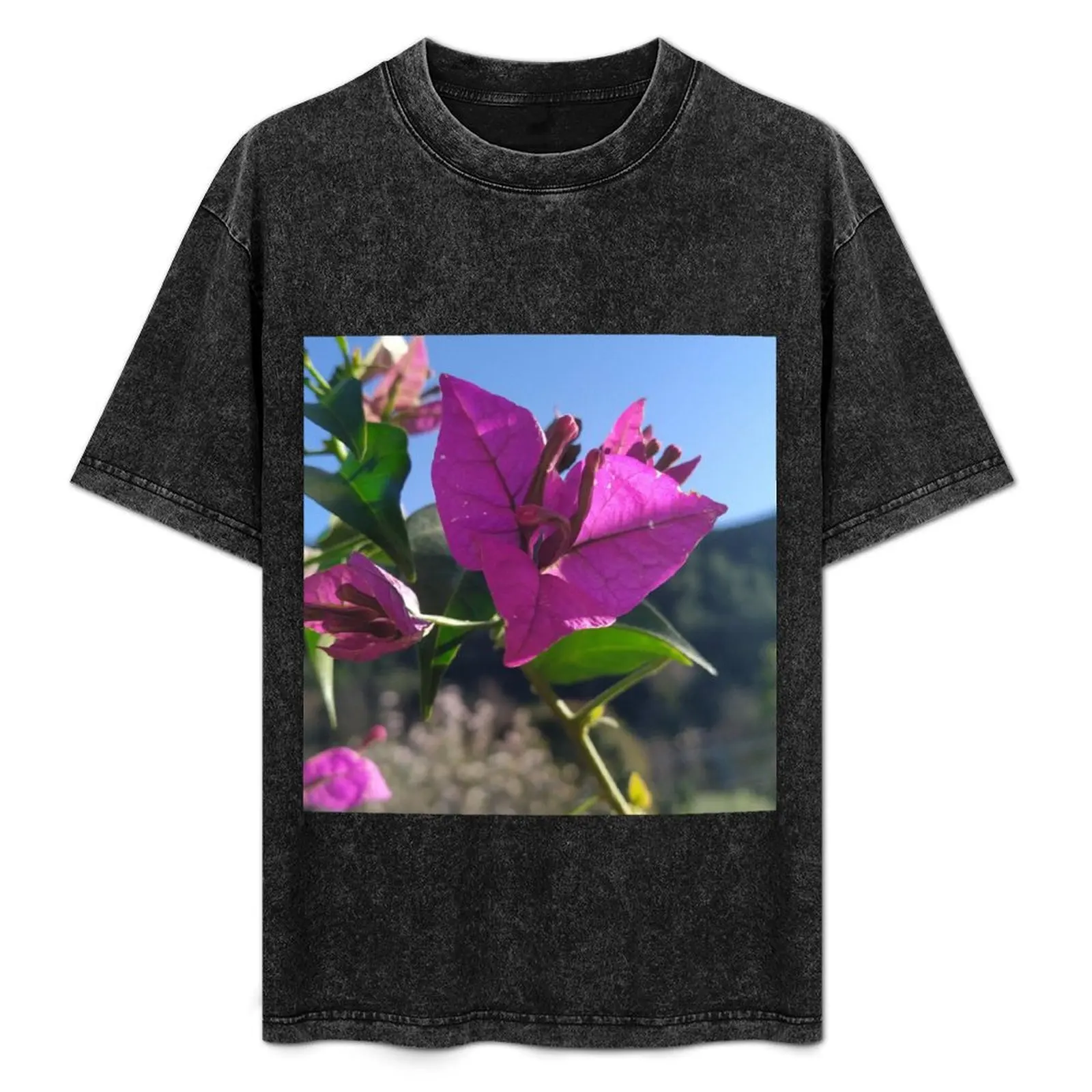 Camiseta Bougainvillea Looks at the Sun, básica y lisa, para primavera y verano