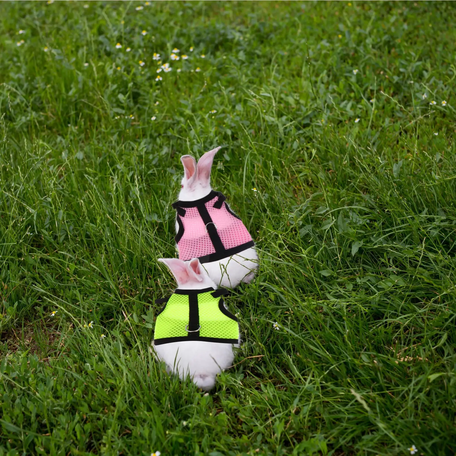 

4Pcs Pet Harness Rabbit Hamster Cool Mesh Vest Easy Wear Lightweight Outdoor Walking Summer Rabbit Harness Leash Set