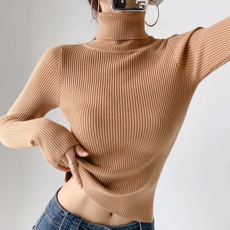 Women Roll Neck Fitted Rib Jumper Basic High Neck Knit Top